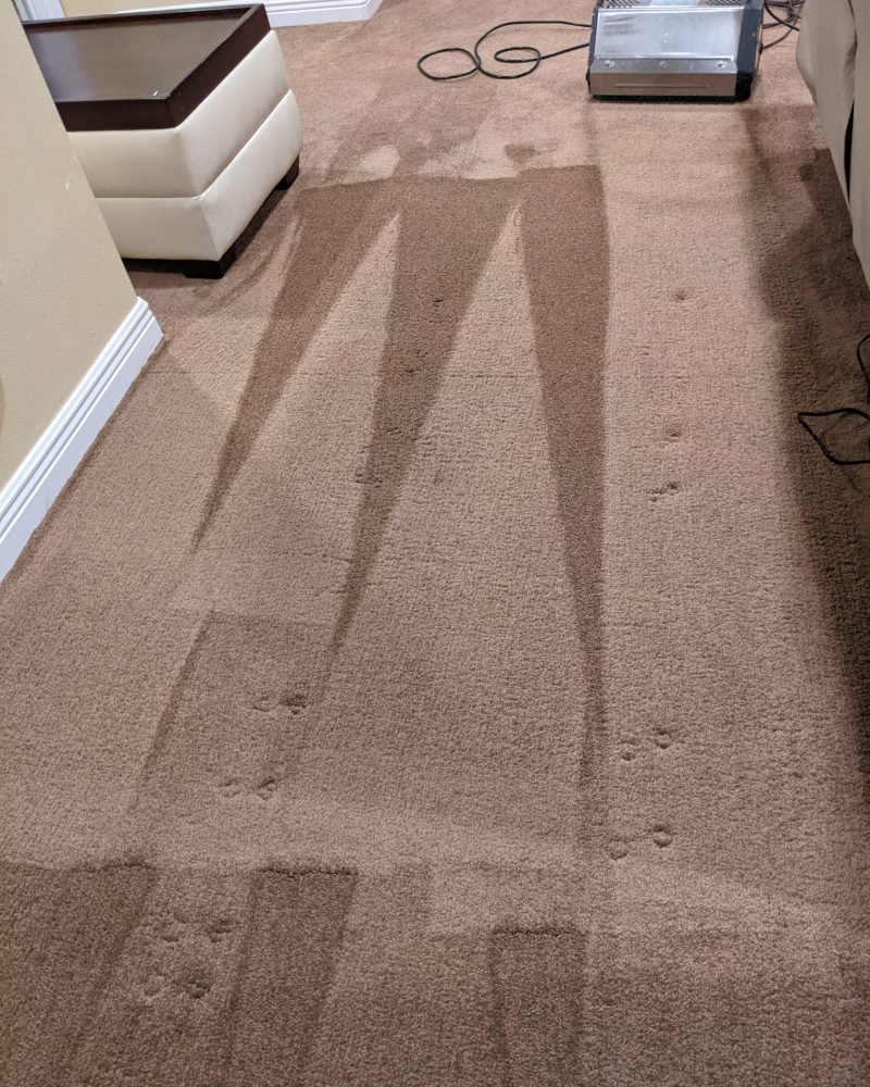 PXL_20230216_203118640