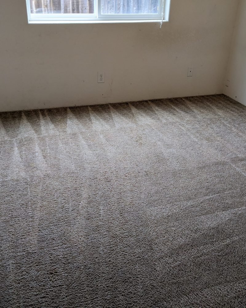 PXL_20240108_205401433