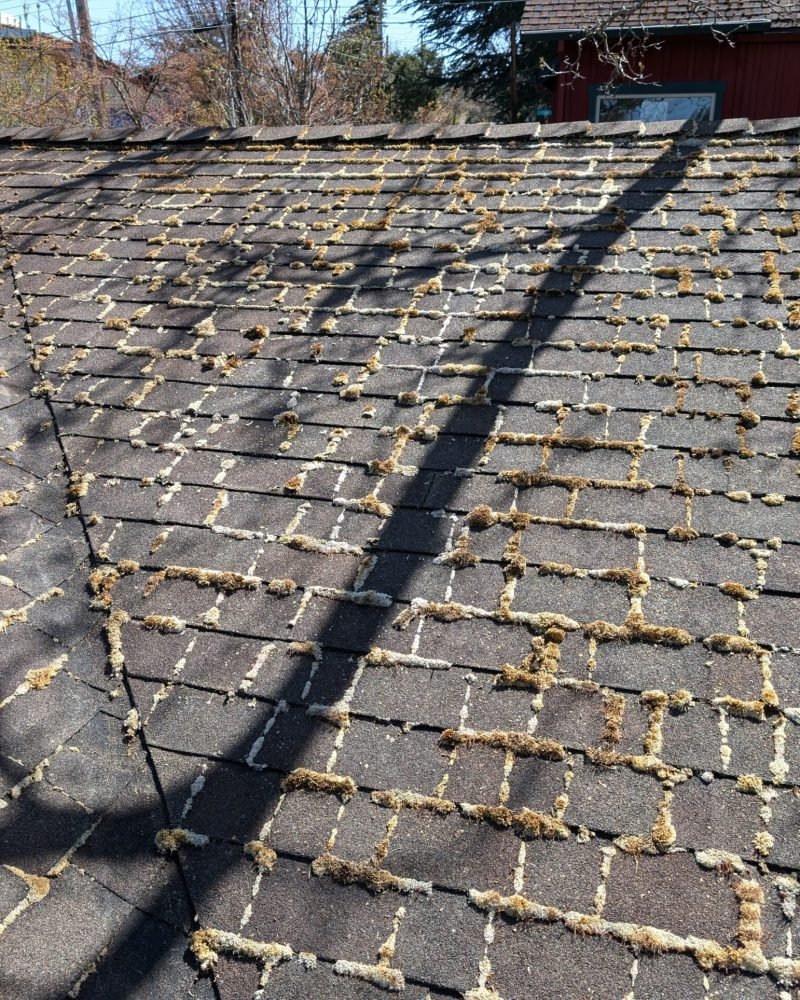 PXL_20250403_194129602